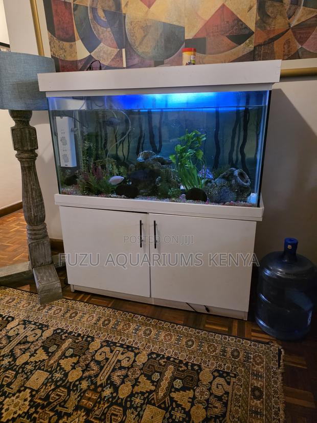 Premium White Cabinet Aquarium Package - Move-in Ready - main view