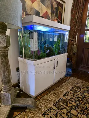 Modern White Aquarium on Cabinet - 10 Fish Included!