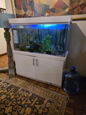 Elegant Home Aquarium With Full Setup - thumbnail 2