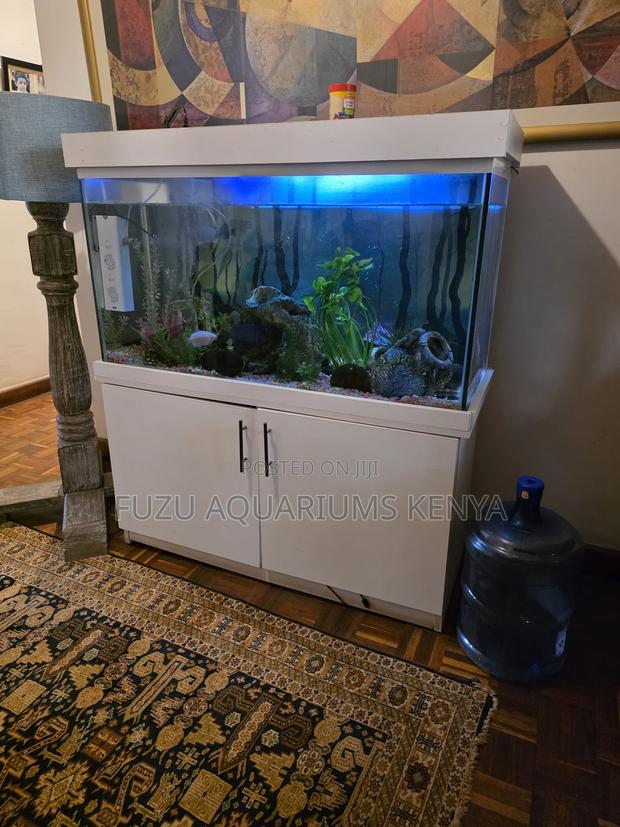 Elegant Home Aquarium With Full Setup - main view