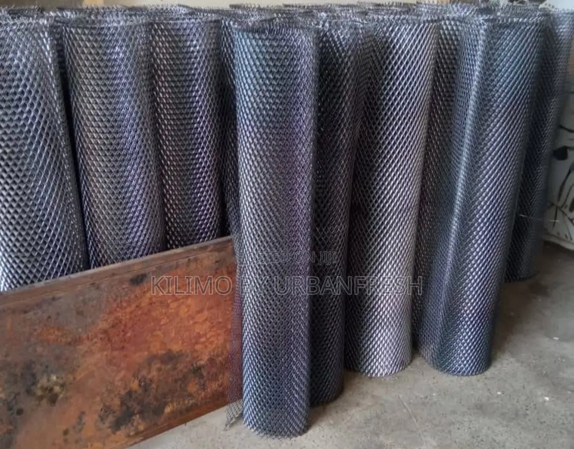 Expandable Mesh