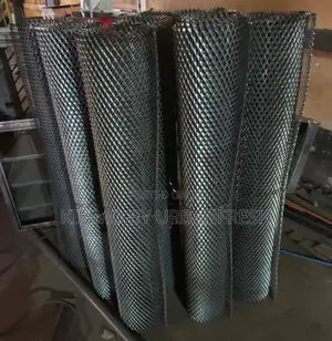 Expandable Mesh