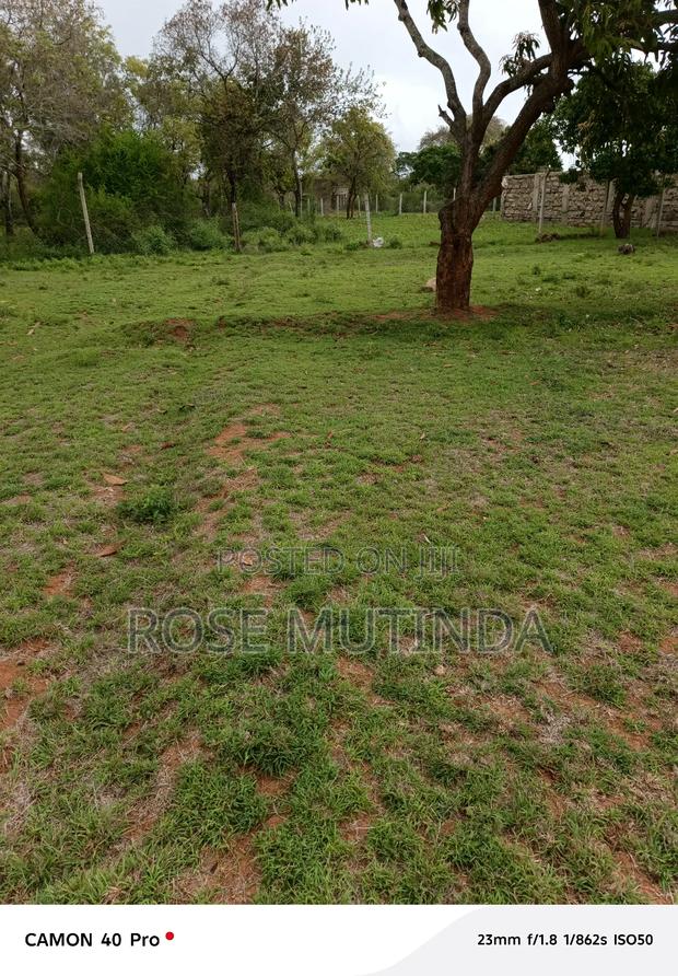 50by 100 at Nguluni - main view