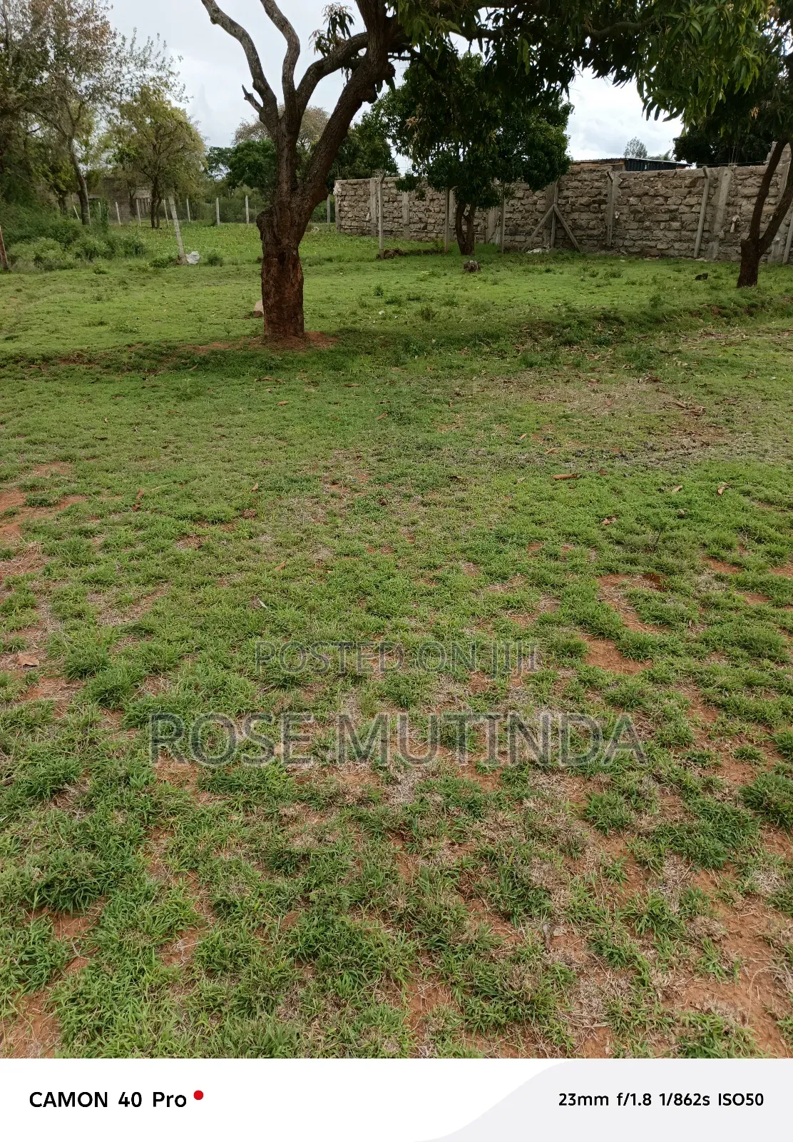 50by 100 at Nguluni