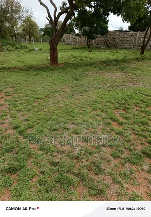 50by 100 at Nguluni