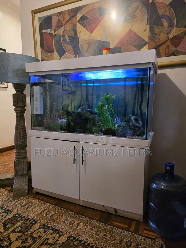 Plug Play Aquarium With White Stand - main view