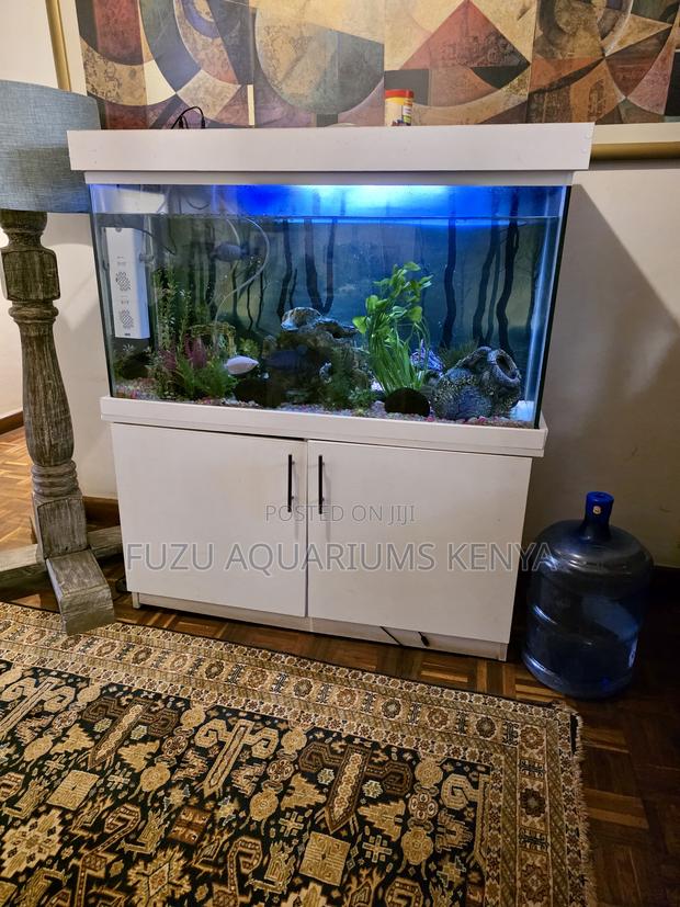 Effortless Aquarium Startup Kit Today - main view
