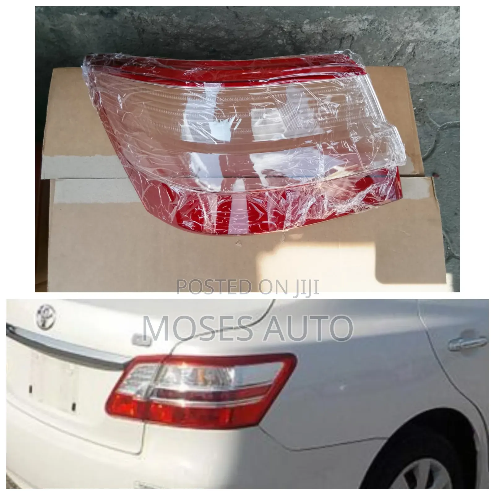 Taillight/Back Light Lenses Premio 265