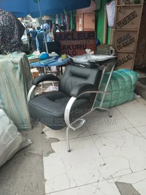 Salon Chair