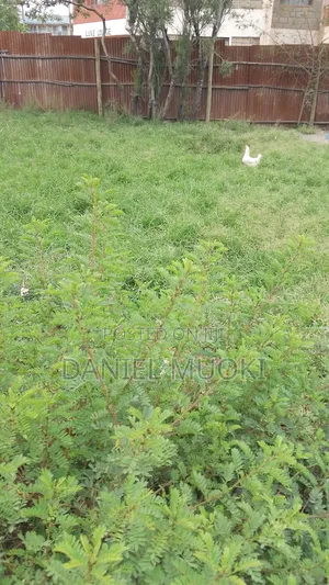 100x100 Plot on Sale Rongai Second Line From Main High Way