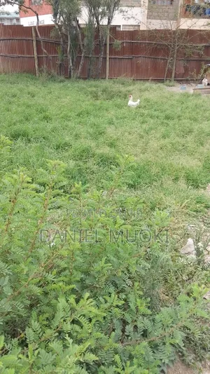 100x100 Plot on Sale Rongai Second Line From Main High Way