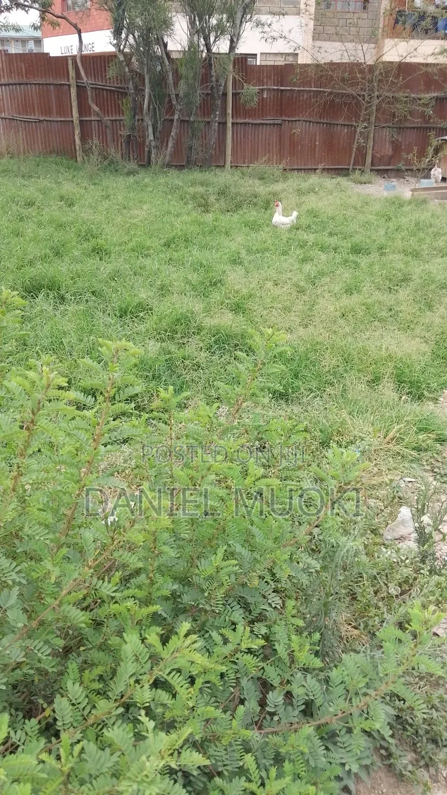 100x100 Plot on Sale Rongai Second Line From Main High Way