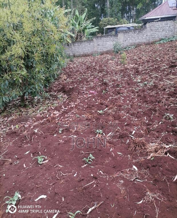 100 by 100 Plot for Sale.5. 5 - thumbnail 3