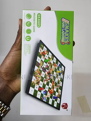 Snake and Ladder Magnetic Game