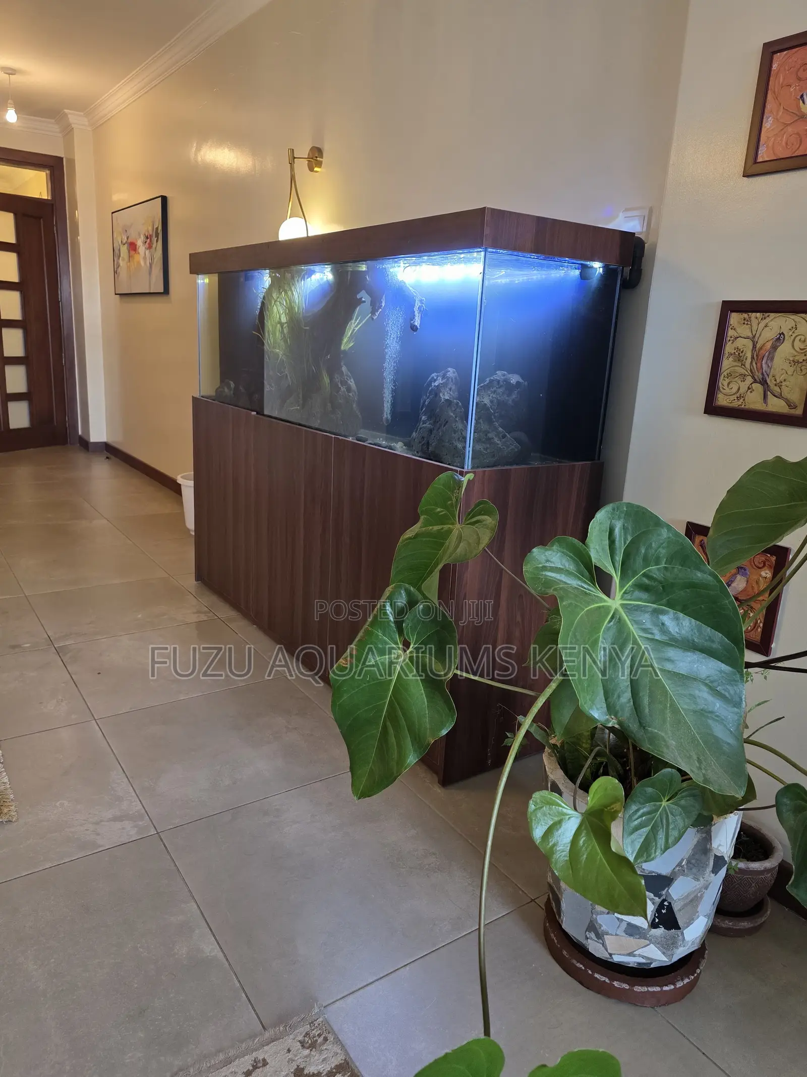 Deluxe Large Aquarium: Sump Included
