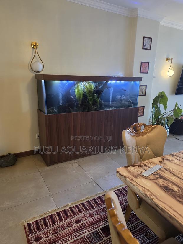 Your Dream Sump Aquarium Setup Ready - main view