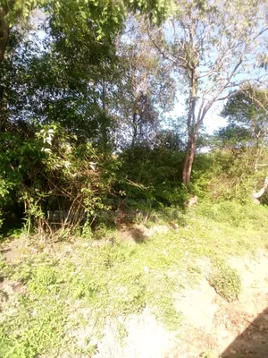 18 Acres Farm, Inyuu(Zombe)