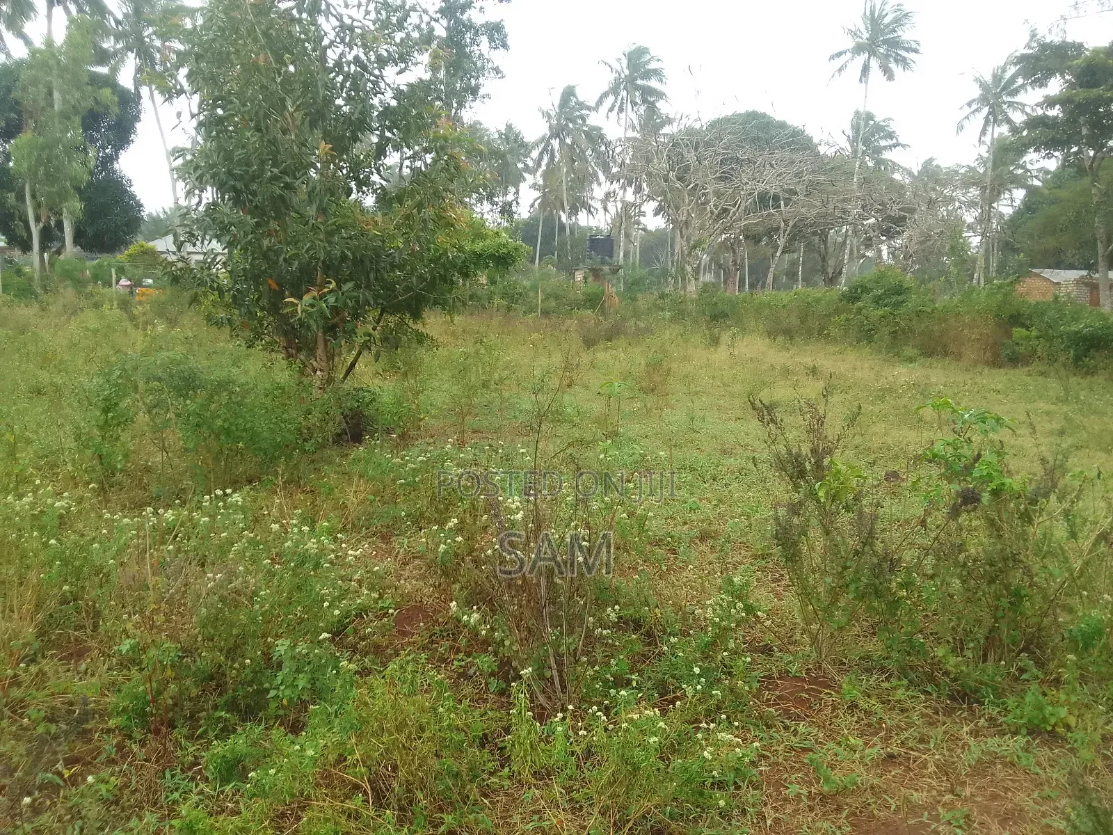 Land on Sale