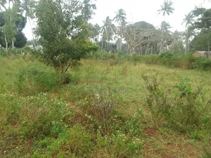 Land on Sale