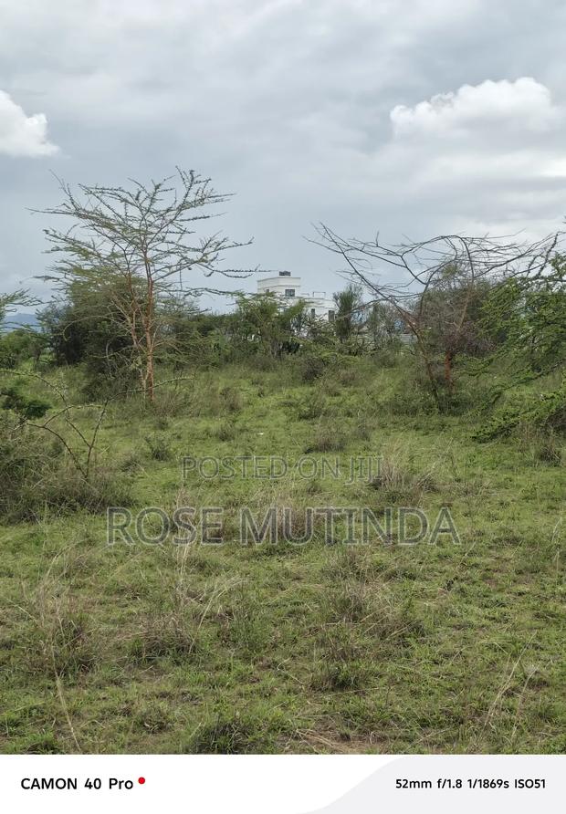 2and Half Cres at Kenol Kangundo Road - thumbnail 4