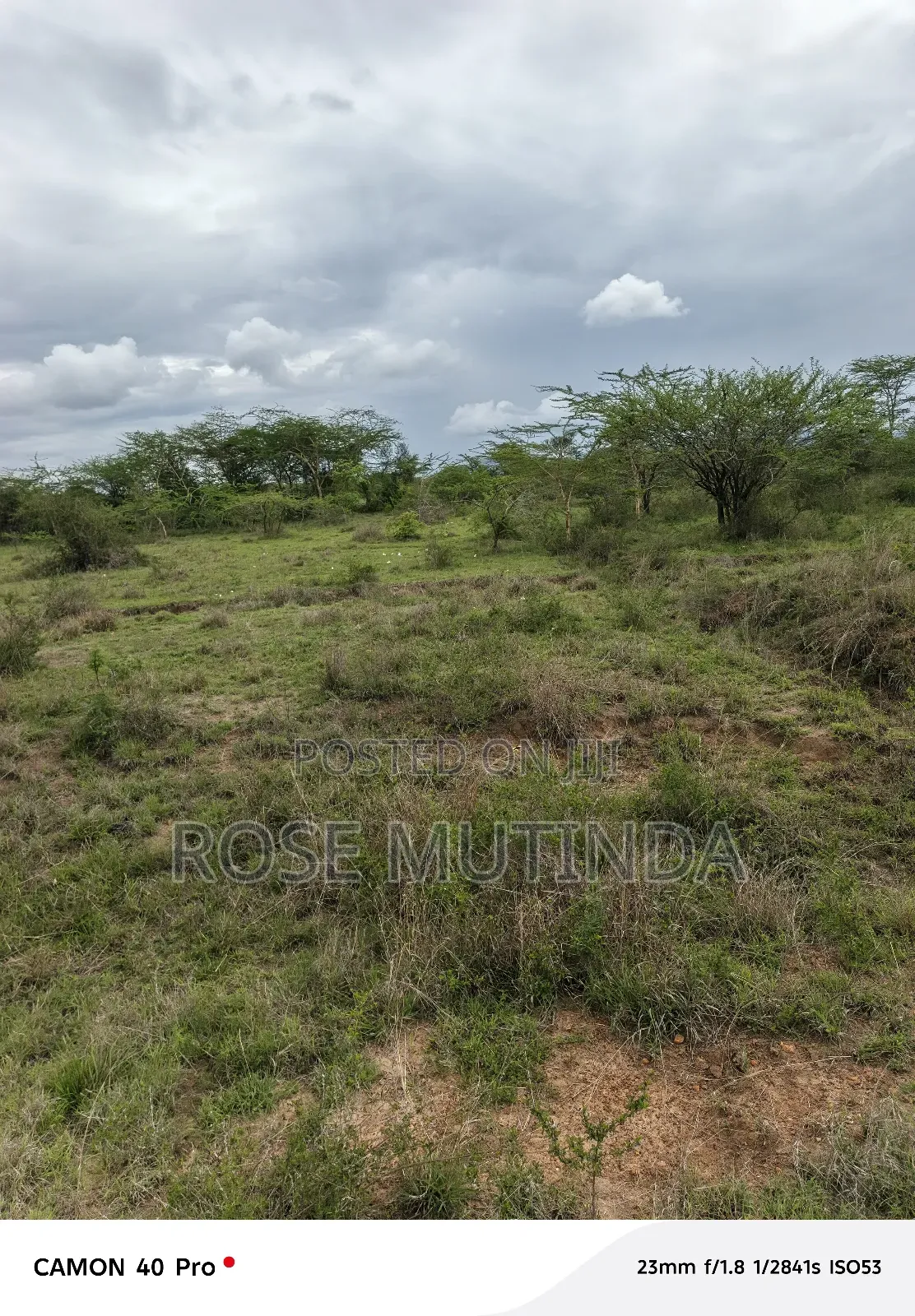 2and Half Cres at Kenol Kangundo Road