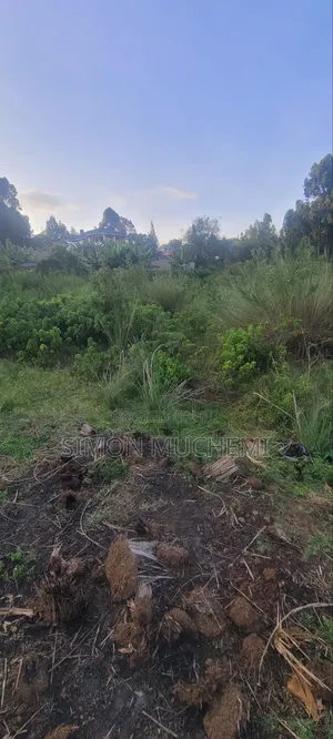 100by 100 Muthure Cura Land For Sale