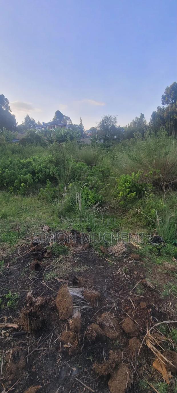 100by 100 Muthure Cura Land For Sale - thumbnail 3