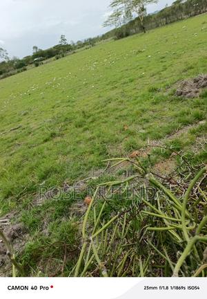 3 Acres at Nguluni - thumbnail 2