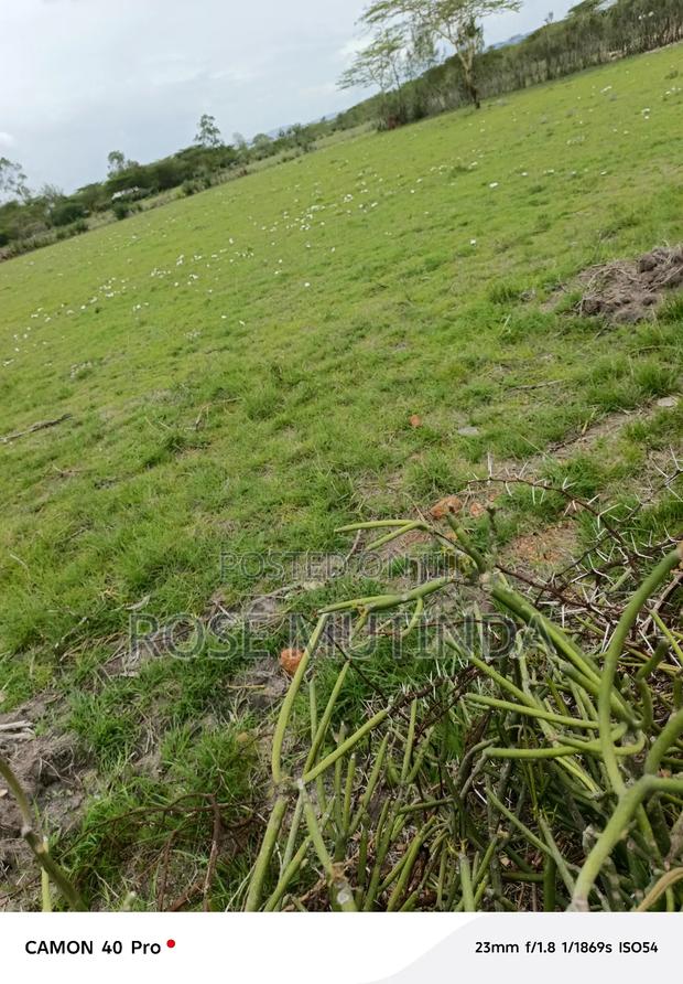 3 Acres at Nguluni - main view