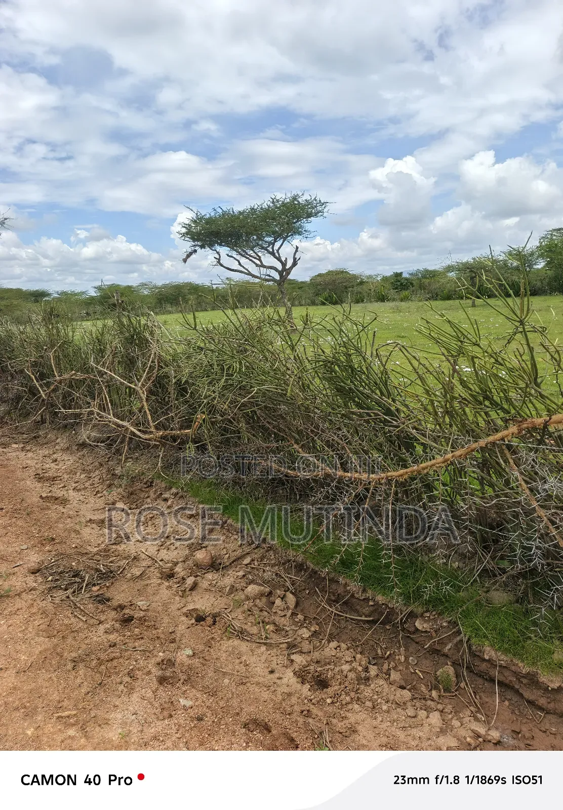 3 Acres at Nguluni