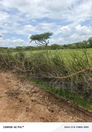 3 Acres at Nguluni