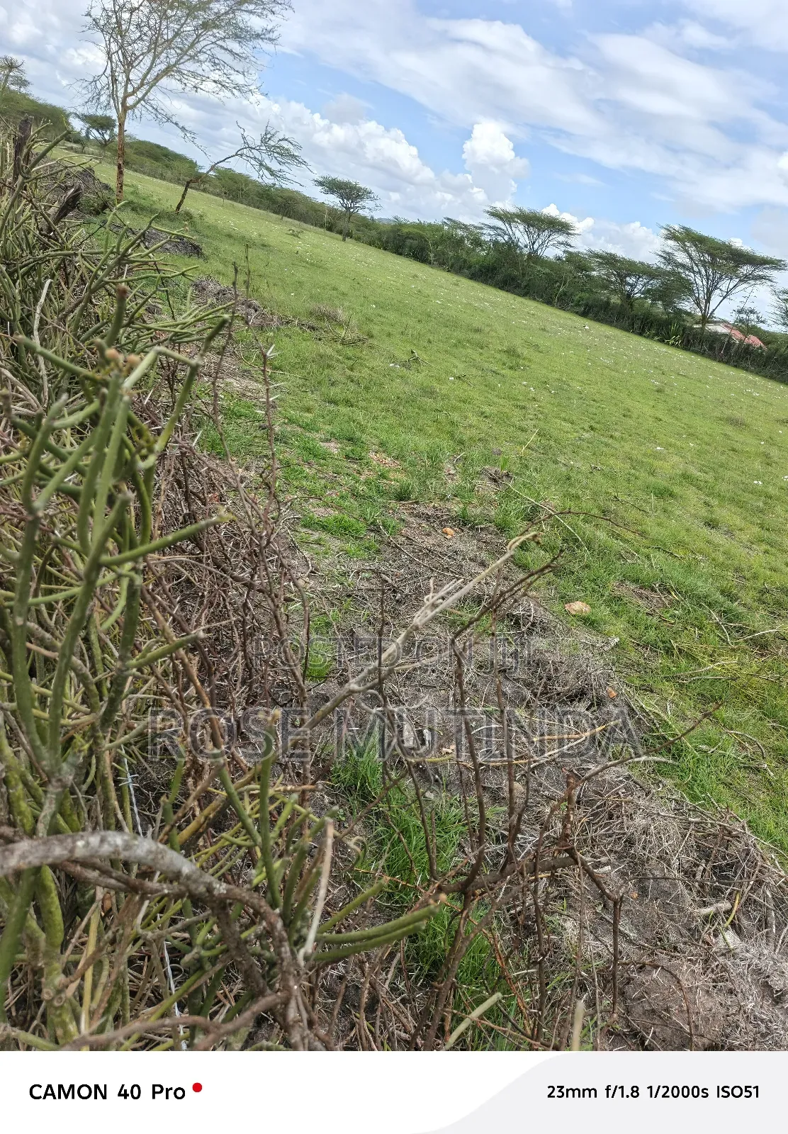 3 Acres at Nguluni