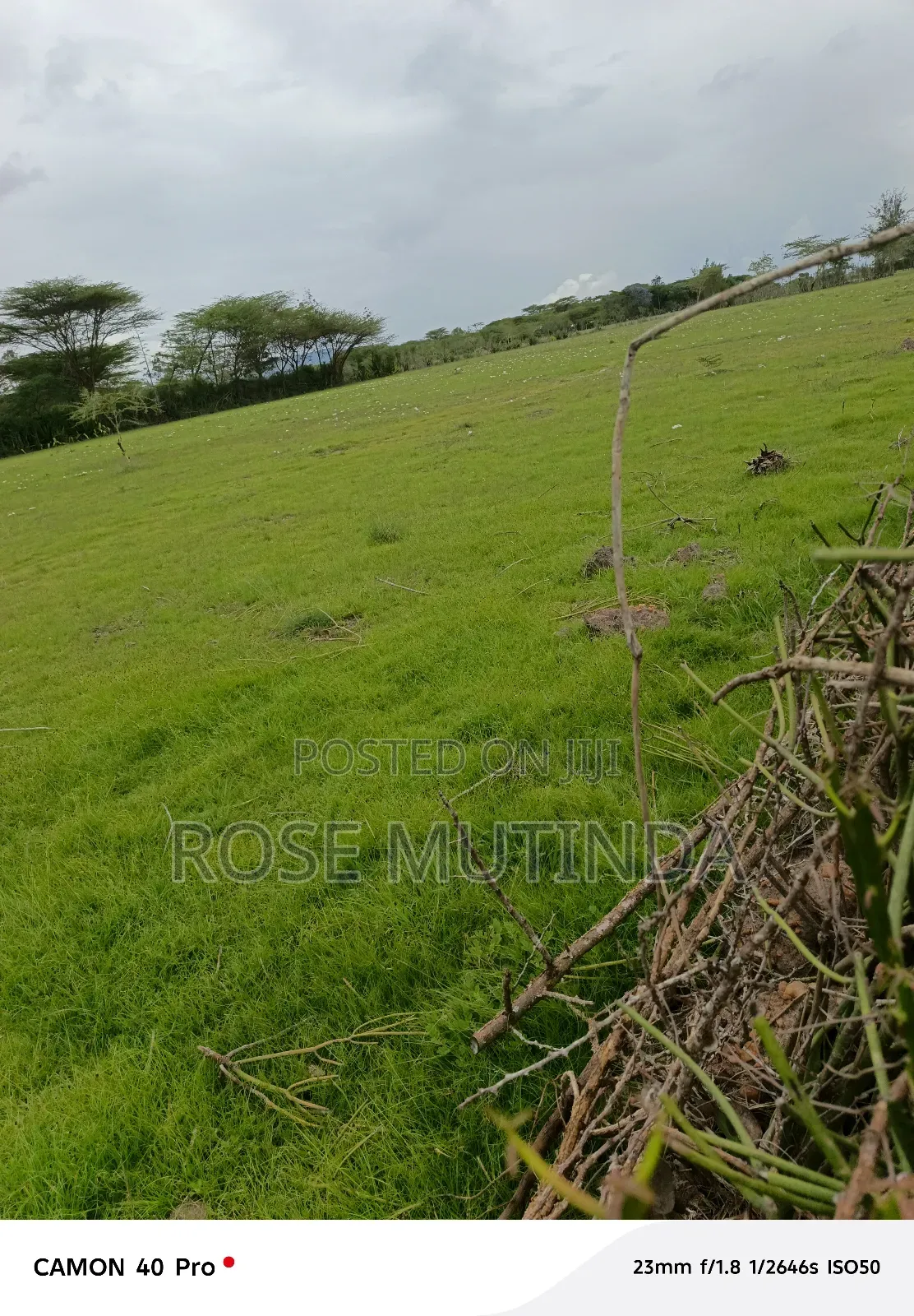 3 Acres at Nguluni
