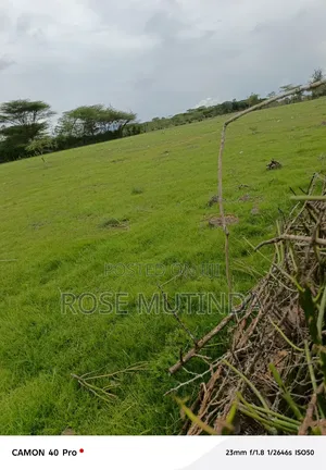3 Acres at Nguluni