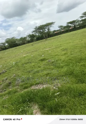 3 Acres at Nguluni