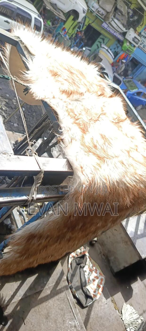 Toyota Spade Dushboard Matt - thumbnail 4