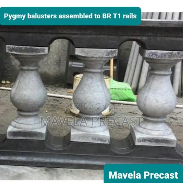 S Pygmy Baluster (Spl Ex Sst1/Spb) - thumbnail 2