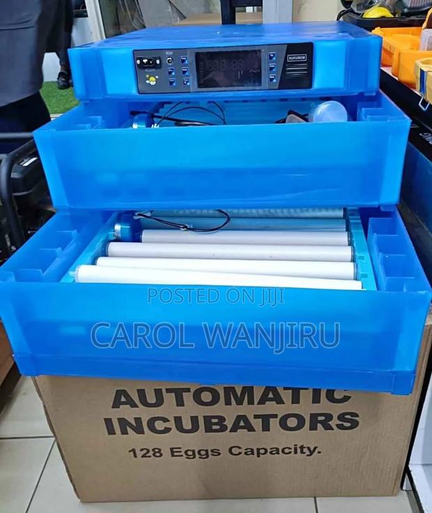 Egg Incubator Machine 128 / Automatic Ac Dc Eggs Incubator Machine - main view
