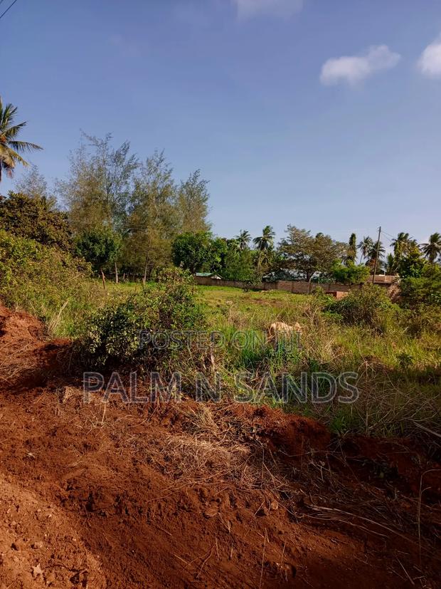 1/2 Acre on Sale in Mvideni Diani - thumbnail 4