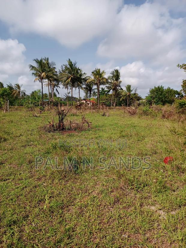 1/2 Acre on Sale in Mvideni Diani - thumbnail 5