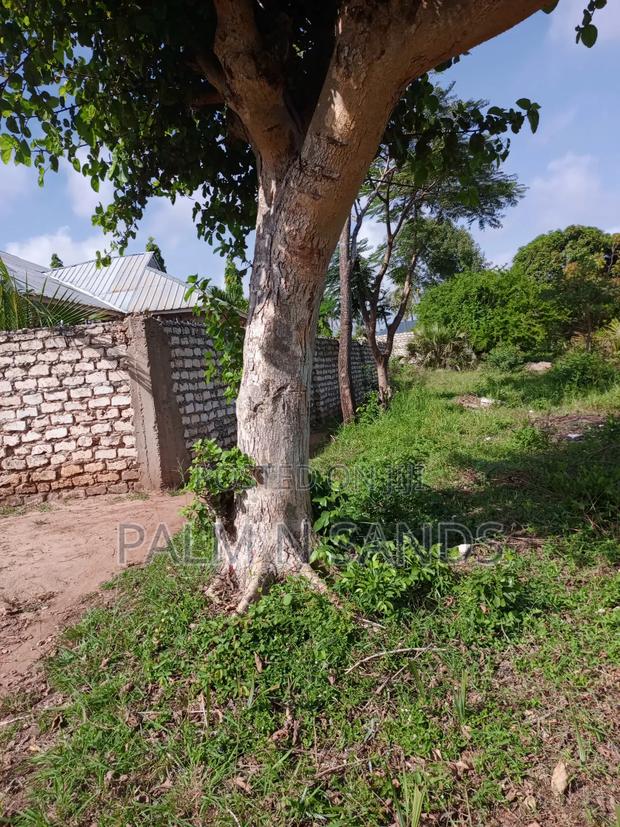 1/2 Acre on Sale in Mvideni Diani - thumbnail 7