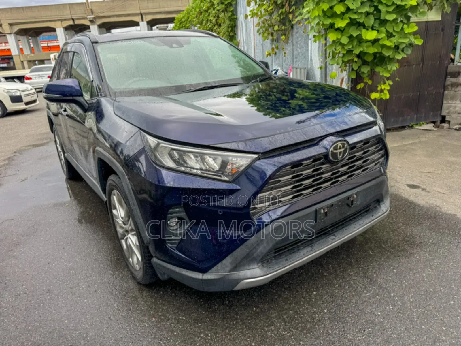 Toyota RAV4 2019 Blue