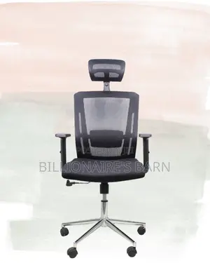 Breathable Mesh Office Chair | Premium Look, Daily Comfort