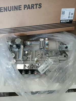 Weichai Machine Injection Pump Assembly 
