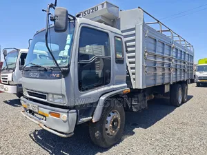Isuzu FVZ 2010 Grey