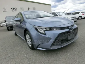 Toyota Corolla LE Eco (1.8L 4cyl 2A) 2019 Gray