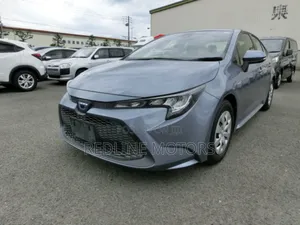 Toyota Corolla LE Eco (1.8L 4cyl 2A) 2019 Gray
