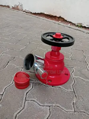 Flanged Landing Valve