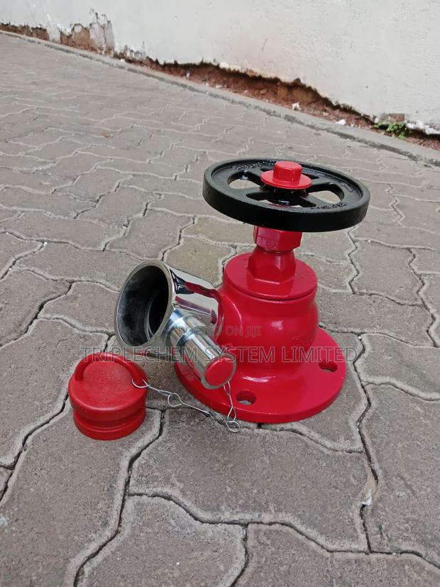 Flanged Landing Valve