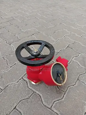 Screw Type Landing Valve